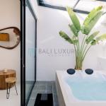 2 Bedroom Mezzanine Villa with Jacuzzi, Canggu - Monthly