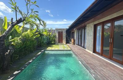 Brand New 2-Bedroom Modern Villa In Sanur- Monthly Rental